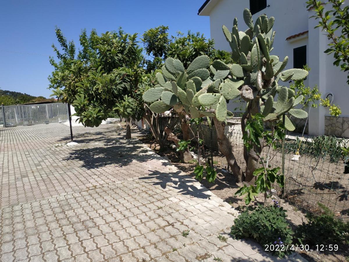 Villa Scialara Vieste Esterno foto